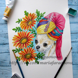 Собака в тюрбане с цветами