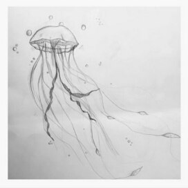 jellyfish