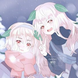 Snow Rabbits