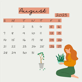 календарь на август