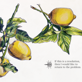 Иллюстрация с ветками лимона
