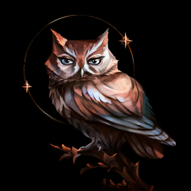 Owl & stars