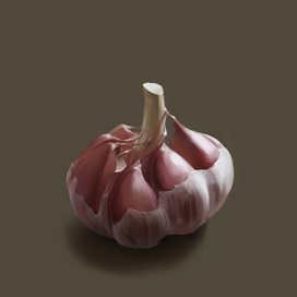 Garlic