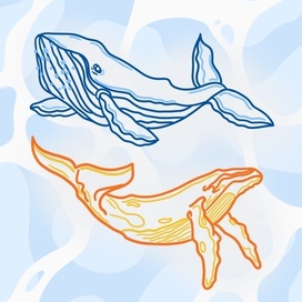 Цветные киты