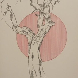 Дерево 