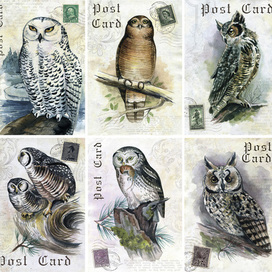 Серия открыток "Винтажные совушки"