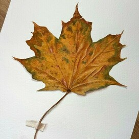 Осенний лист 