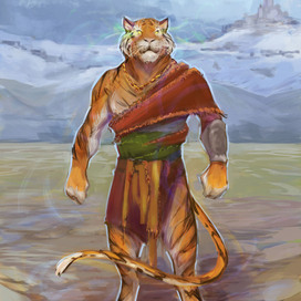 Раджур странствуйщий монах