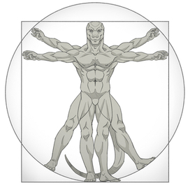 vitruvian lizard