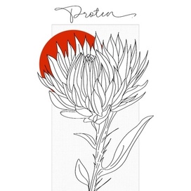 Art Flowers. Protea