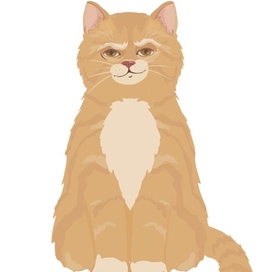 «Котик» разработка персонажа для мультфильма 