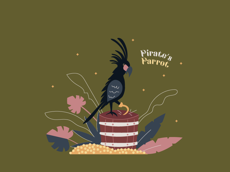pirate's parrot beginin