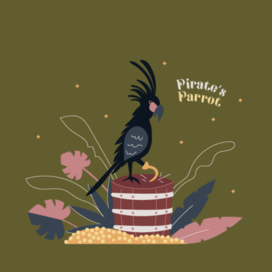 pirate's parrot beginin