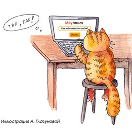 Кот Мяуш ищет помощь в интернете