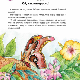Иллюстрация к книге "Бабочка Алина и мыльные пузыри"