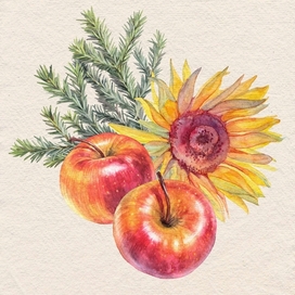 Яблоки и подсолнух, осенняя композиция 