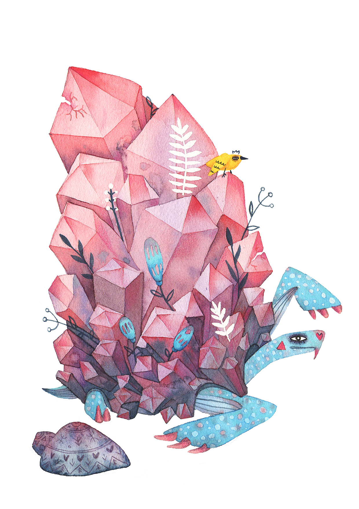 Иллюстрация Черепаха в стиле книжная графика | Illustrators.ru