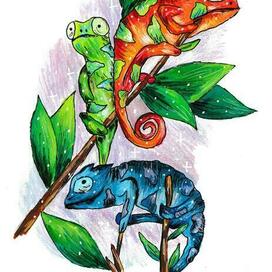 Разноцветные 