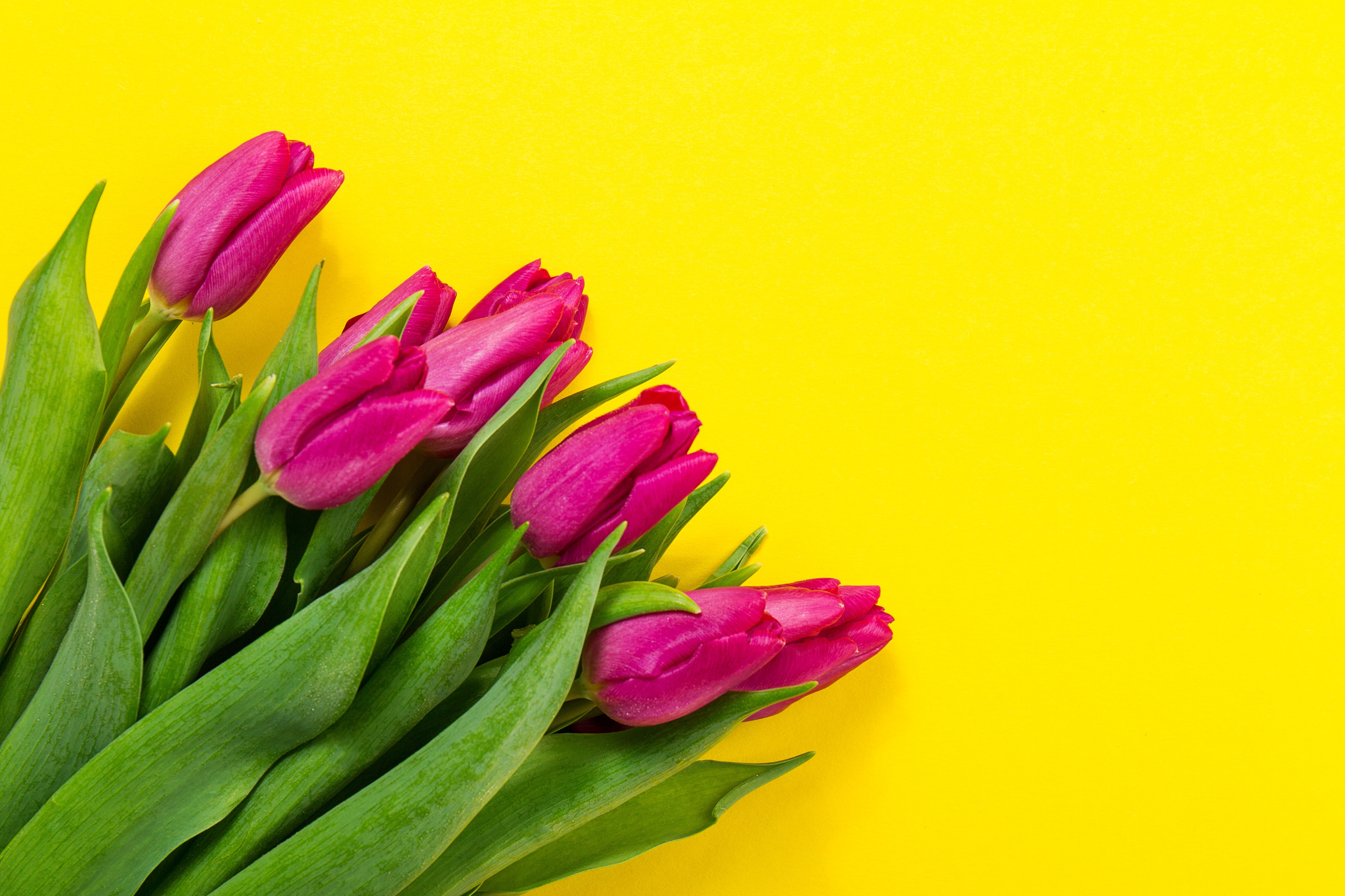 Бездепозитные казино: Возможность игры без риска