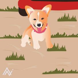 Арт-фото корги