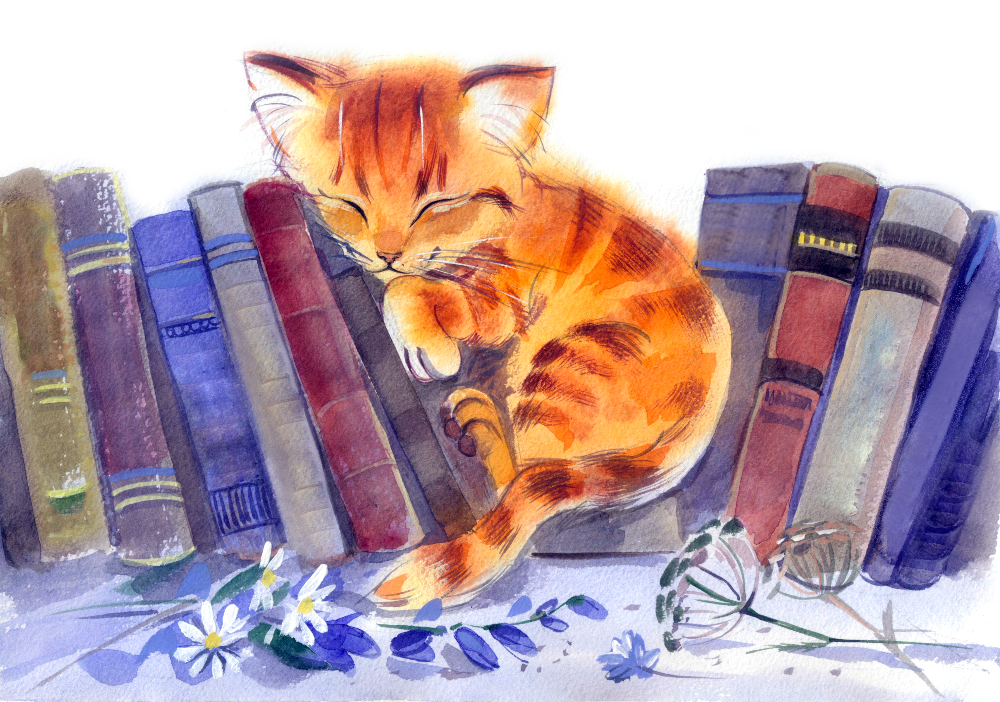 Good books for c. Кошка с книжкой. Котёнок с книжкой. Книги про кошек. Иллюстрации к книгам.