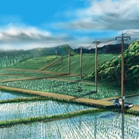 Рисовое поле 