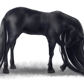 Вороной конь