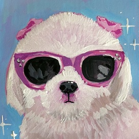 Модная собачка