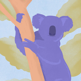 koala.  minimalism style