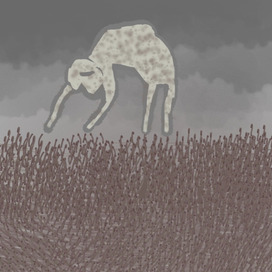 Без названия