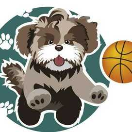 собака с баскетбольным мячом