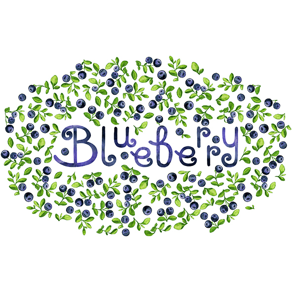 Иллюстрация Черника Blueberry в стиле 2d | Illustrators.ru