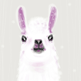 Снежная лама