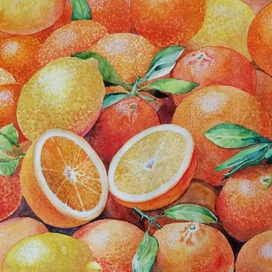 Апельсины-мандарины