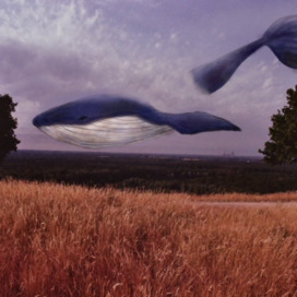 Воздушное море