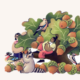 Иллюстрация к статье про желуди