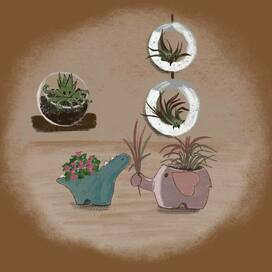 Мир домашних растений