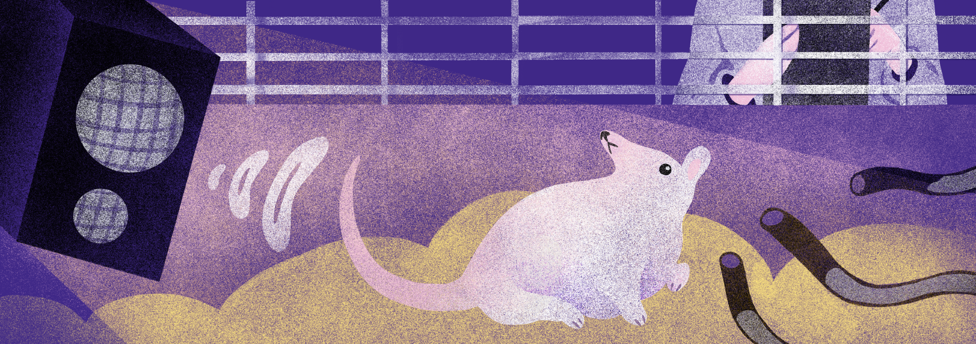 Эксперимент