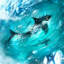 Killer whales