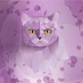 Кот фиолетовый.