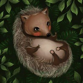 Mr. Charming Hedgehog 🦔