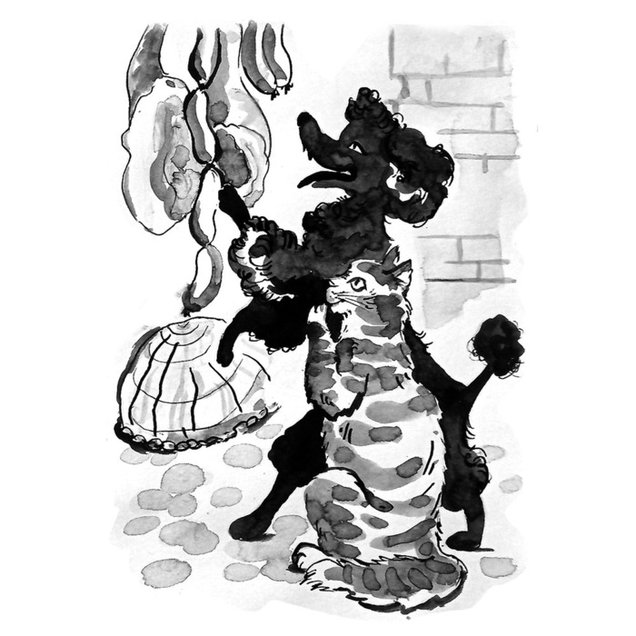 Иллюстрация Э.Т.А. Гофман "Житейские воззрения кота