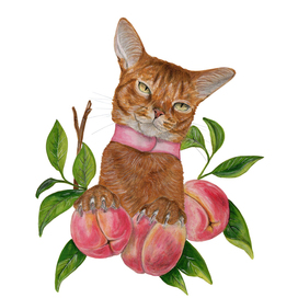 Котик с персиками