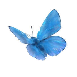 Цифровая иллюстрация «Бабочка»