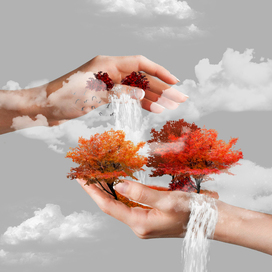 Первая моя работа