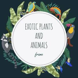 Exotic animals, plants, hand drawing, vector set, background, frame