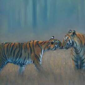 Любовь, тигры