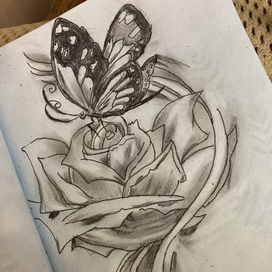 Бобочка на цветке 