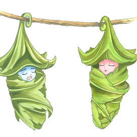 Коконы будущих бабочек. Иллюстрация для детской книги"Бабочки. Кто красивее?"