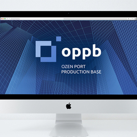 Фирменный стиль и брендбук компании OPPB